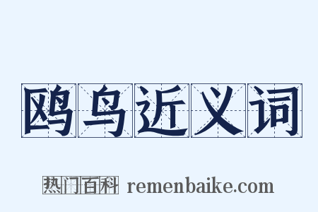 鸥鸟近义词是什么意思的图片